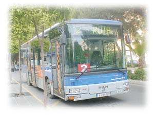 bus.jpg