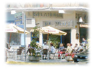 moli.jpg